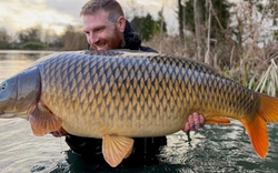 Cần thủ câu được con cá chép khổng lồ nặng gần 29kg