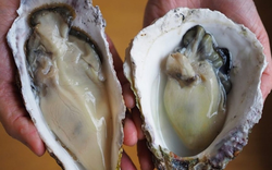 Ăn hải sản kiểu "lạ đời", người đàn ông suýt chết vì điều này