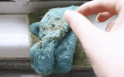 Nhà trông rất sạch nhưng 6 thứ này đang sinh vi khuẩn 24/7 mà bạn không hề biết