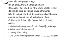 Bài đăng tuyển gia sư của một phụ huynh với những chi tiết khiến ai đọc cũng phì cười: Đây là tuyển ô sin!