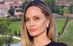 Brad Pitt chỉ trích gay gắt Angelina Jolie