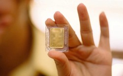 Phát hiện 10 triệu đồng, ngoại tệ cùng miếng vàng 9999 bị bỏ lại bên đường quốc lộ