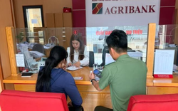 Người phụ nữ SN 1991 đến chi nhánh ngân hàng Agribank rút 26 triệu đồng, giao dịch viên đang làm thủ tục phải vội báo công an