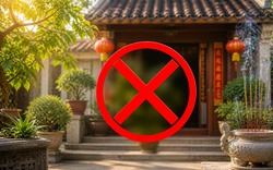 3 cây trước nhà cản bước Thần Tài, tốt nhất đừng trồng