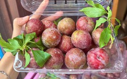 Điều gì xảy ra khi bạn ăn quá nhiều quả mận? Bác sĩ dinh dưỡng nhắc: 4 kiểu người này phải cực kỳ cẩn thận!
