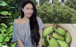 Doãn Hải My ở biệt thự mấy chục tỷ vẫn tự trồng cải xanh, cà chua, mồng tơi, vác rổ đi hái xoài như nông dân chính hiệu