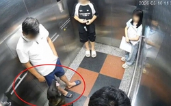 Hà Nội: Bị nhắc đeo rọ mõm cho chó, cư dân đấm gục thành viên ban quản trị chung cư, công an vào cuộc