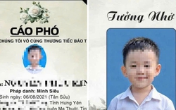 Con trai 6 tuổi tử vong vì viêm màng não, lời tiễn biệt nghẹn lòng của người mẹ