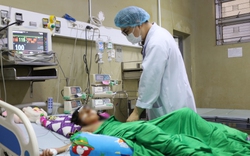 Một học sinh lớp 4 được gia đình đưa đến bệnh viện trong tình trạng nguy kịch sau khi bị ong đốt