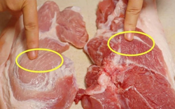 4 phần thịt lợn ngon và bổ nhất, nhiều người mua mỗi ngày nhưng toàn chọn sai “cực phẩm”