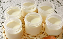 Lời khuyên cho những ai ăn sữa chua hàng ngày