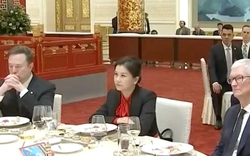 Chuyện về nữ tỉ phú Trung Quốc ngồi giữa Tim Cook và Elon Musk trong quốc yến