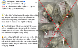 Cảnh báo về ma tuý "nấm thần"