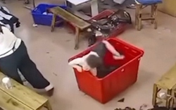 Bé trai bị chấn thương não khi trèo vào thùng quần áo chơi