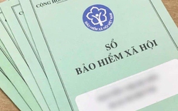 Tỉ lệ hưởng lương hưu tối thiểu: Nam và nữ chênh nhau ra sao?