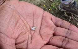Nhặt được “viên đá lạ” trong công viên, người phụ nữ sốc khi biết đó là báu vật hàng nghìn người cùng tìm kiếm