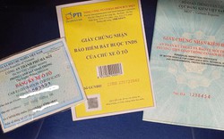 Từ 18/5, 4 loại giấy tờ đăng kiểm chính thức thay bằng dữ liệu số