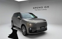 Một mẫu xe Trung Quốc nhận 25.000 đơn hàng sau nửa ngày mở bán