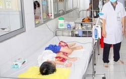 Bộ Y tế yêu cầu điều tra vụ 62 học sinh nghi ngộ độc thực phẩm tại Đồng Tháp