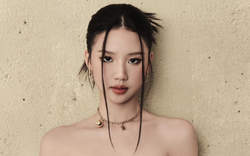 AMEE biến mất bí ẩn