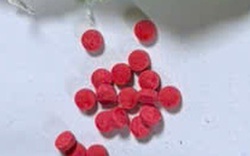 Triệt phá đường dây tàng trữ, tổ chức sử dụng trái phép chất ma túy, bắt giữ nhiều đối tượng