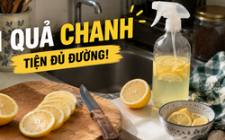 Từ thứ hay bị mốc trong tủ lạnh, chanh giờ trở thành “trợ thủ” số 1 trong căn bếp của tôi: 15 công dụng vừa sạch nhà vừa đỡ tốn tiền