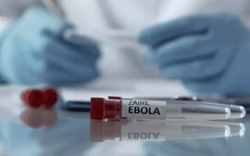 Bộ Y tế hoả tốc yêu cầu các bệnh viện tăng cường phòng chống dịch Ebola