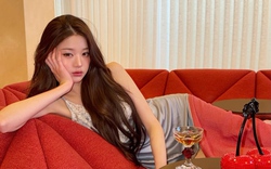 Bức hình thấy rõ độ giàu có của "công chúa Kpop": Nhà trong "thủ phủ" của giới thượng lưu, đến sofa cũng "đắt cắt cổ"