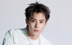 Vương Hạc Đệ bị chê bai là "gã đàn ông nhỏ nhen nhất giới giải trí"
