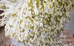 Nhắc nhở: Có 4 loại rau tuyệt đối không được ăn, bán rẻ mấy cũng đừng mang về nhà