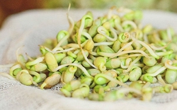 Đừng vội vứt! Những loại thực phẩm càng nảy mầm càng bổ dưỡng, nhiều người vẫn tưởng phải bỏ ngay