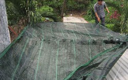 Làm thế nào để chống nóng hiệu quả cho nhà tầng trên cùng? 7 cách giúp giảm vài độ trong mùa hè, ngủ ngon mà không phải bật điều hòa cả đêm