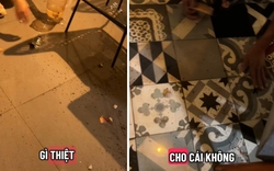 Con đập vỡ bể cá quán cafe nhưng bố mẹ thản nhiên "trẻ con biết gì đâu mà la nó", rồi bỏ về không nói được 1 lời xin lỗi
