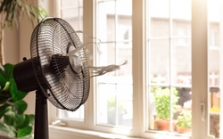 Loại quạt nào tốn điện nhất? Lời khuyên để dùng quạt điện mát không kém điều hòa mà vẫn tiết kiệm, tốt cho sức khỏe