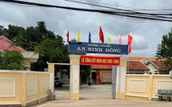 Nam sinh lớp 5 chấn thương sọ não sau khi bạn "tác động" trước ngày nghỉ hè