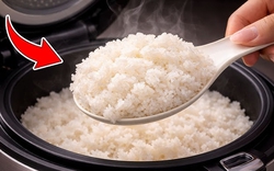 Nấu cơm đừng chỉ cho nước, nhớ thêm vài giọt này: Hạt cơm bóng dẻo, thơm ngon, để lâu không thiu