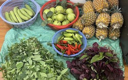 Con vừa nghỉ hè mẹ chồng tôi đã bày ra cái trò không thể chấp nhận nổi