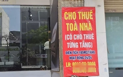 Có nhiều nhà cho thuê, doanh thu trên 1 tỷ đồng/năm nộp thuế ra sao?