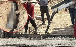 Đang đứng cạnh xe trộn bê tông, thợ hồ bỗng phát hiện thứ rơi ra bên dưới: Vừa nhìn kỹ đã vội tháo chạy