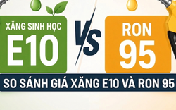 So sánh giá xăng E10 và RON 95