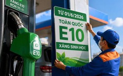 Loạt hãng xe lên tiếng về độ tương thích với xăng E10