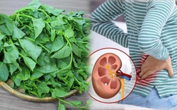 Loại rau có vị nhớt khó ăn nhưng lại được coi là "nữ hoàng" giải nhiệt mùa hè: Có 5 nhóm người tốt nhất đừng ăn nhiều