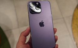4 chiếc iPhone cũ đáng mua nhất hiện nay