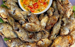 Chiên cá đừng chỉ dùng dầu ăn: Thả thêm một mẩu này vào chảo, cá giòn rụm, không bắn dầu mà lại thơm "gây nghiện"