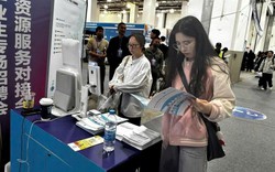 Lương 250 triệu/tháng vẫn chưa là gì: Những ngành này đang khiến các ông lớn công nghệ phát cuồng, 7 công ty giành giật 1 nhân sự