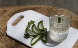 6 lý do nên uống nước hạt chia nha đam vào mùa hè