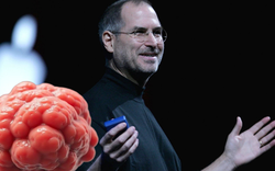 Steve Jobs qua đời vì bệnh gì?