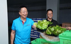 Phát hiện người đàn ông kiếm hơn 31.000 tỷ đồng/năm nhờ kinh doanh rau củ