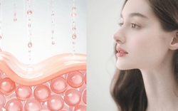 Không phải collagen hay NMN, giới khoa học phát hiện "công tắc trẻ hóa" nằm sâu trong tế bào: Nhiều người đang tắt nó mỗi ngày