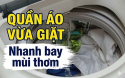 Vì sao quần áo mới giặt xong lại nhanh bay mùi thơm?